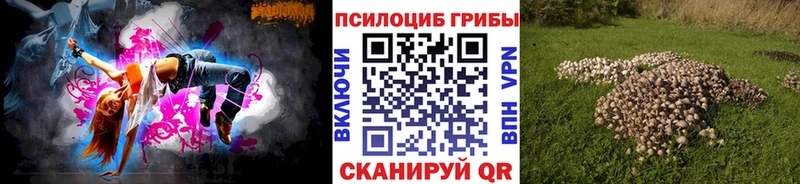 Псилоцибиновые грибы GOLDEN TEACHER  где можно купить наркотик  Болгар 
